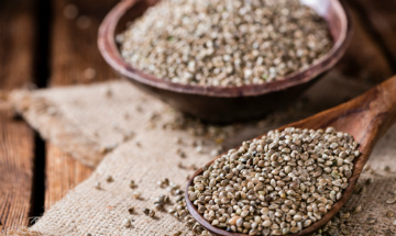 8 Things About Hemp Seeds Everyone Should Know